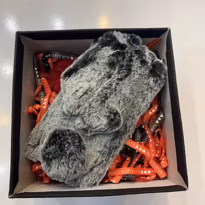 کاور مدل خرگوشی مناسب برای گوشی موبایل سامسونگ Galaxy A520/A5 2017