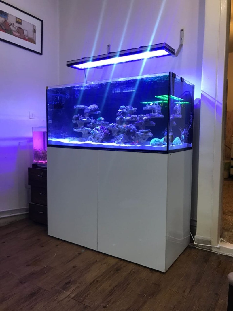 EL330W