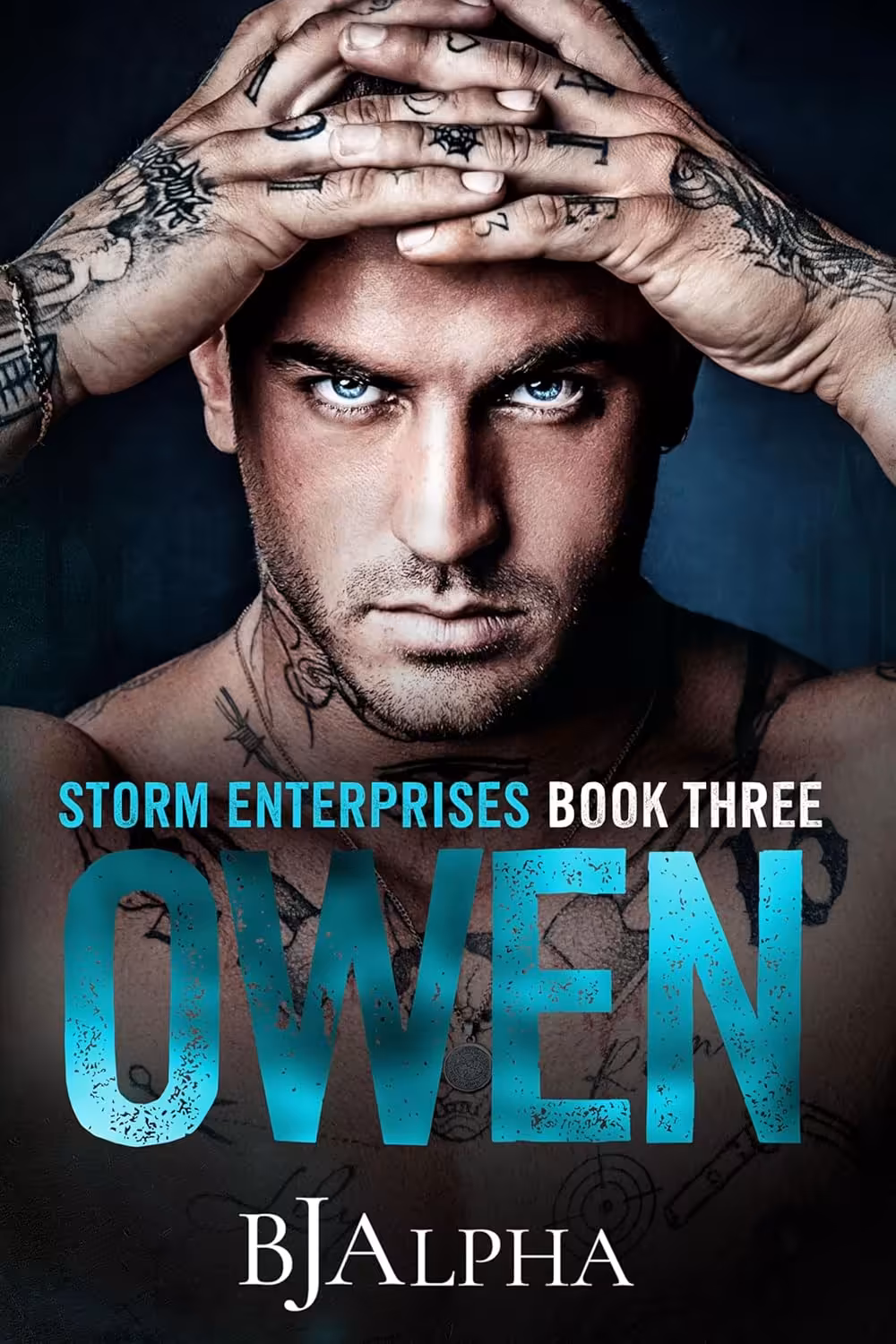 Owen (Storm Enterprises Book 3) (متن کامل)