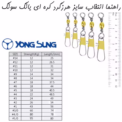 هرزگرد ماهیگیری یانگ سانگ مدل BRAS-1 سایز 4.0 بسته 5 عددی