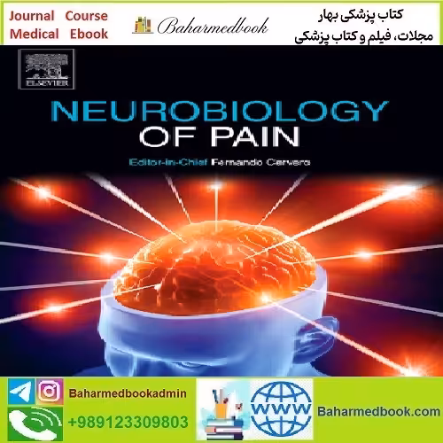 Neurobiology of Pain Volume 13 to Volume 14 2023