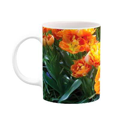 ماگ طرح گل مدل mgs10069