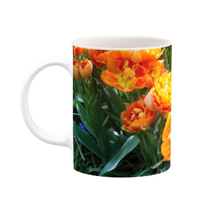 ماگ طرح گل مدل mgs10069