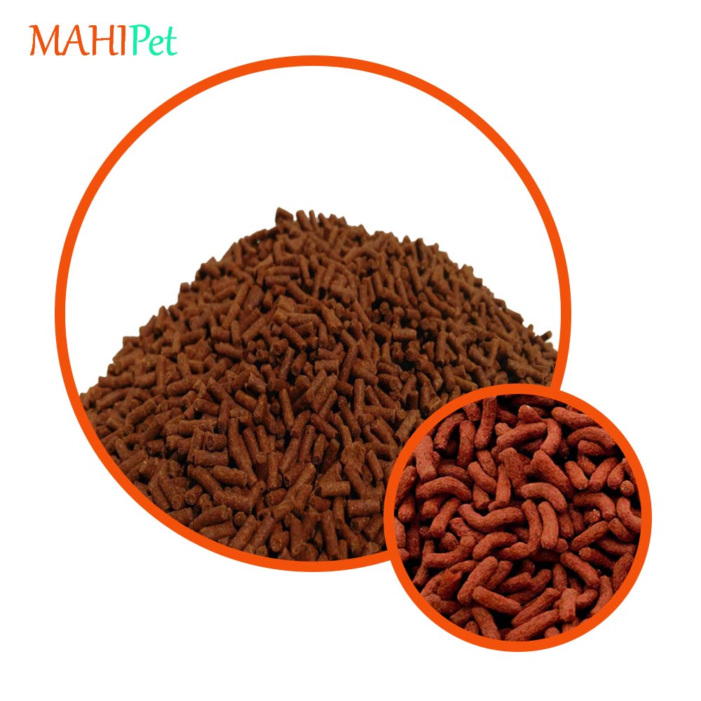 غذای استیک کوی بسته 100 گرمی