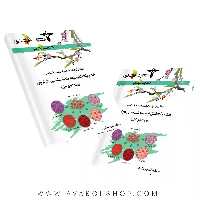 کتاب المپیاد های زیست شناسی در ایران (مرحله اول) خوشخوان