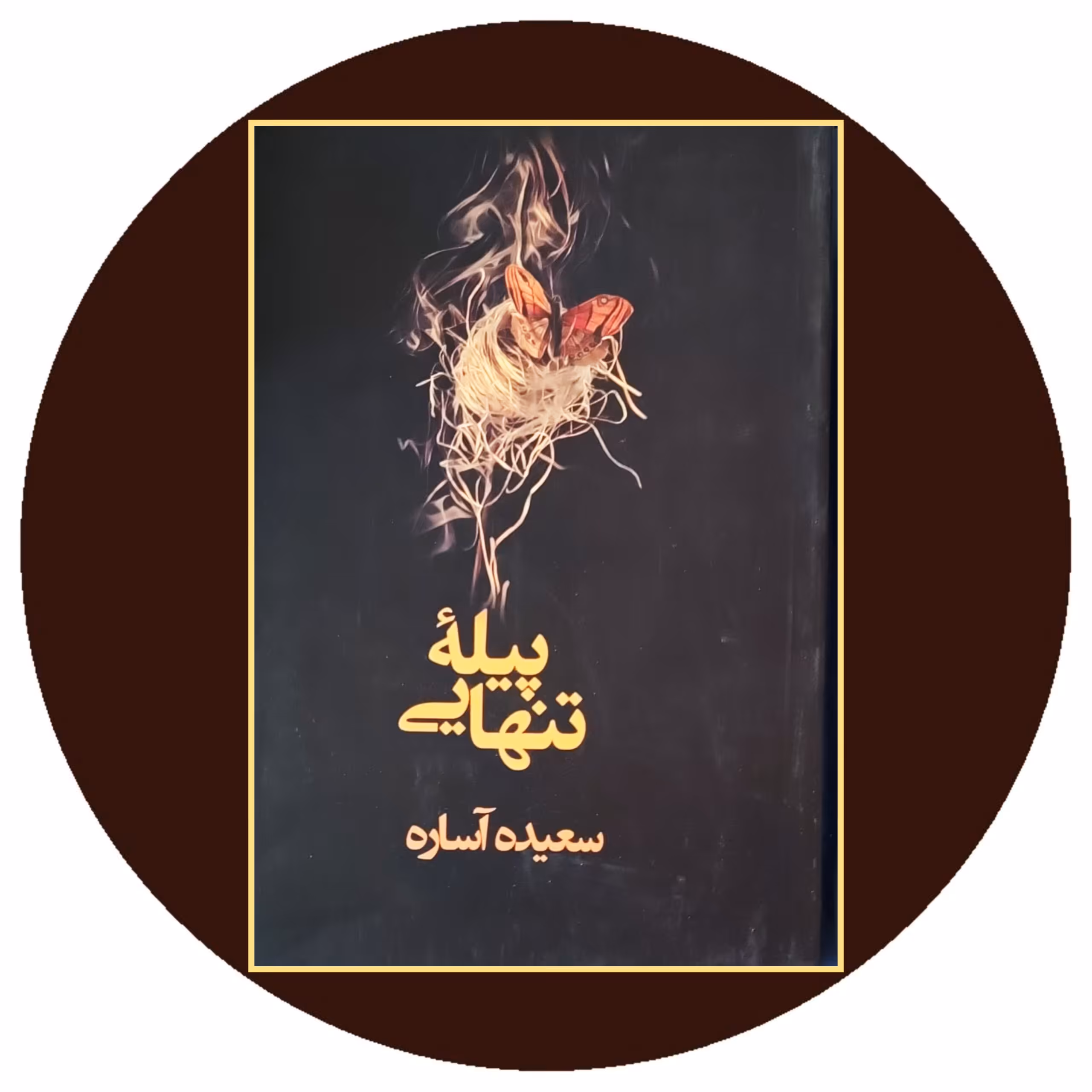 کتاب پیله تنهایی - خرید با تخفیف چهل درصد ازکتاب دایره قهوه ای