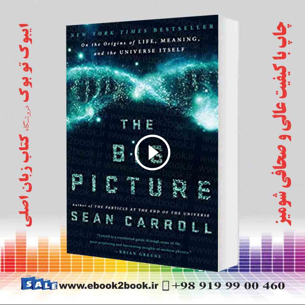 The Big Picture : On the Origins of Life Meaning and the Universe Itself