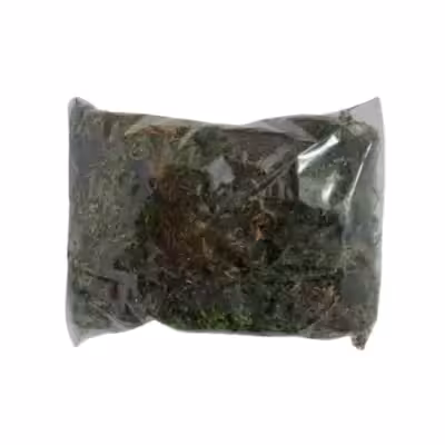 خزه گلدان کد A-1 وزن 50 گرم