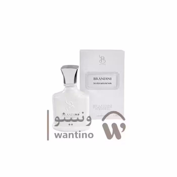 عطر ادکلن کرید سیلور مانتین واتر برندینی (Brandini Creed Silver Mountain Water) 33 میل
