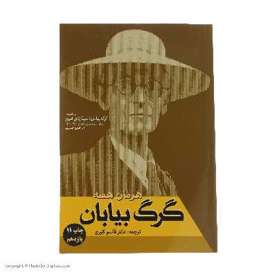 کتاب گرگ بیابان اثر هرمان هسه نشر فردوس