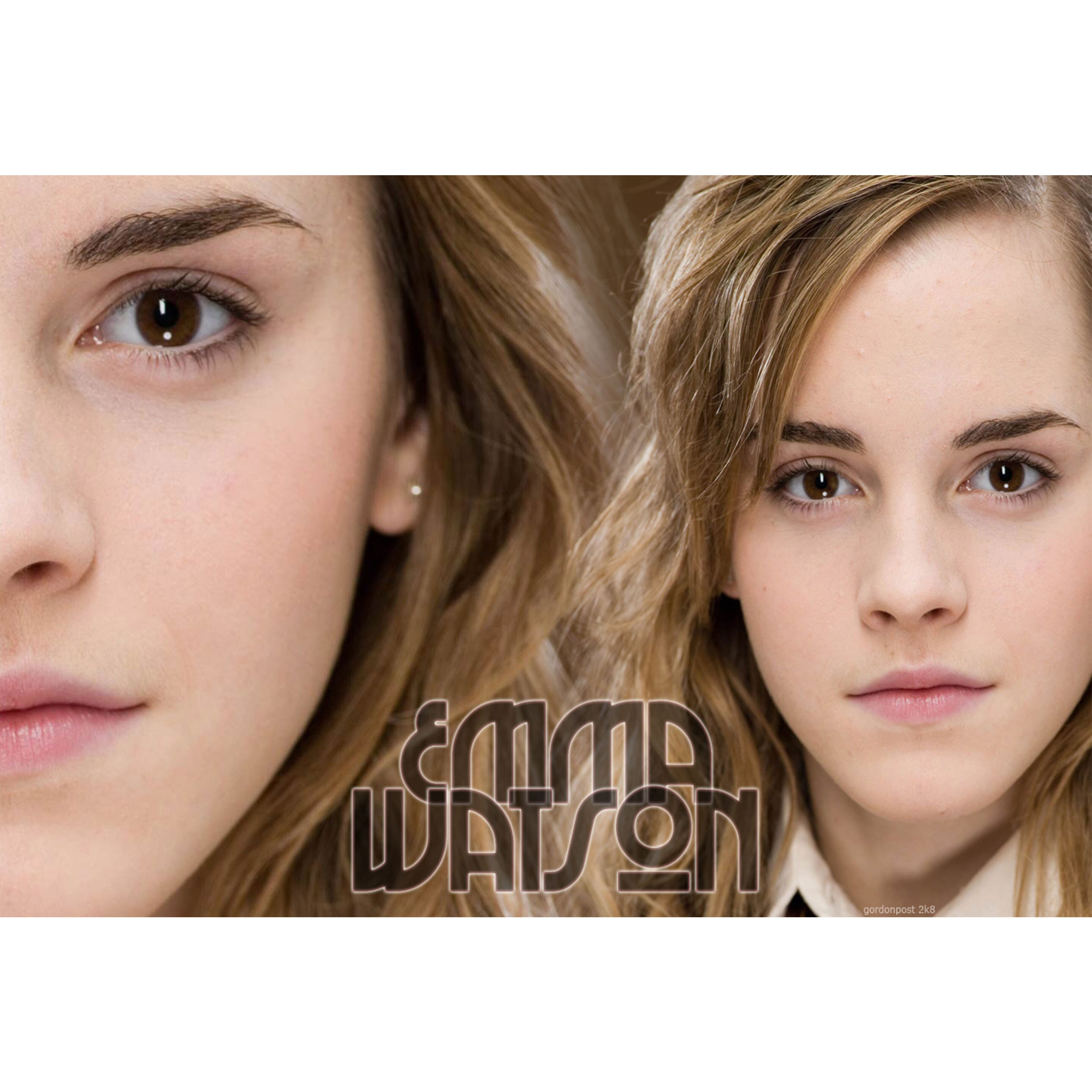 تابلو شاسی مدل بازیگر اما شارلوت واتسون T6409