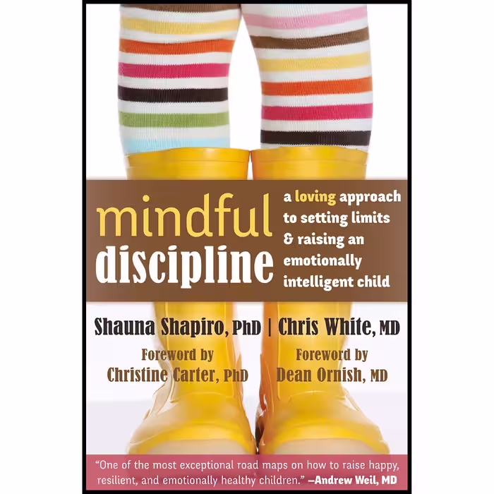 کتاب Mindful Discipline اثر جمعی از نویسندگان انتشارات New Harbinger Publications