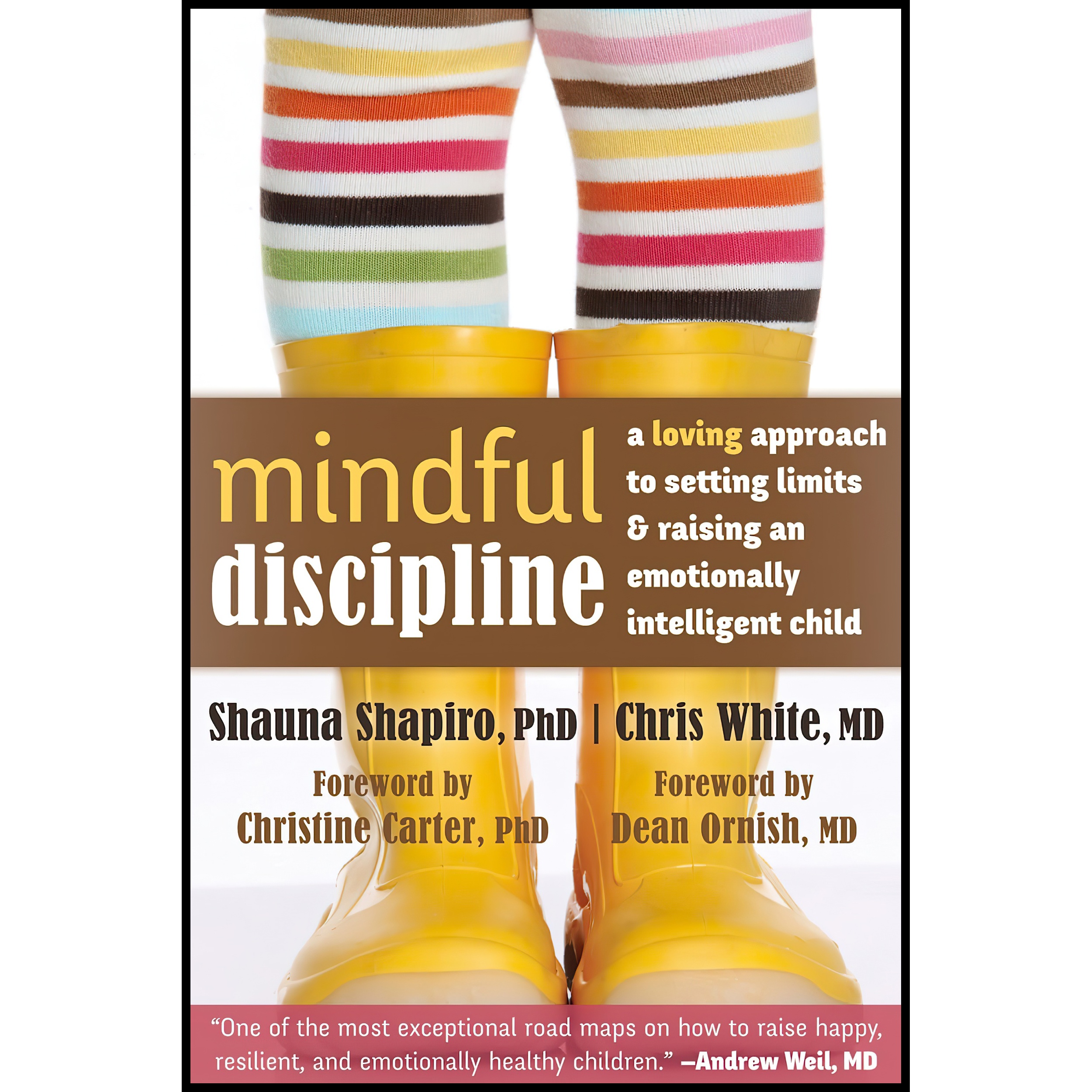 کتاب Mindful Discipline اثر جمعی از نویسندگان انتشارات New Harbinger Publications