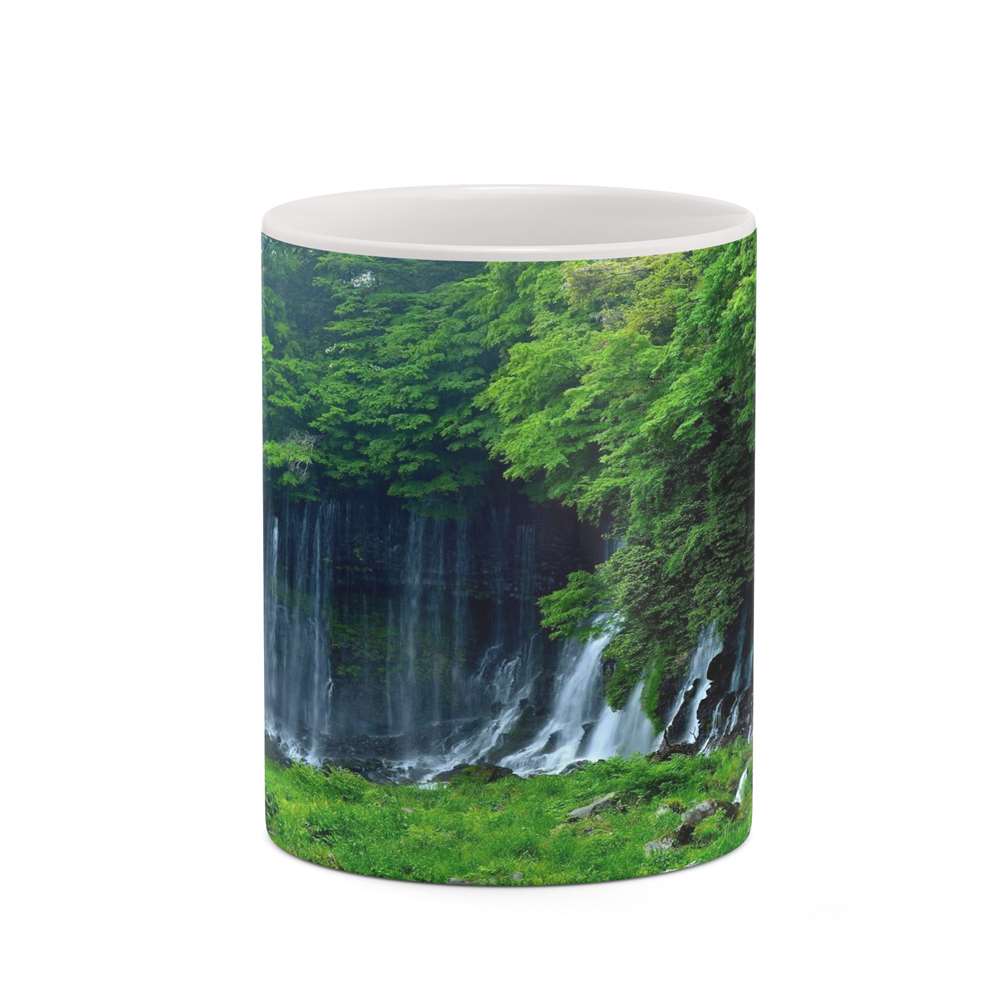 ماگ کاکتی طرح منظره مدل mgh18249