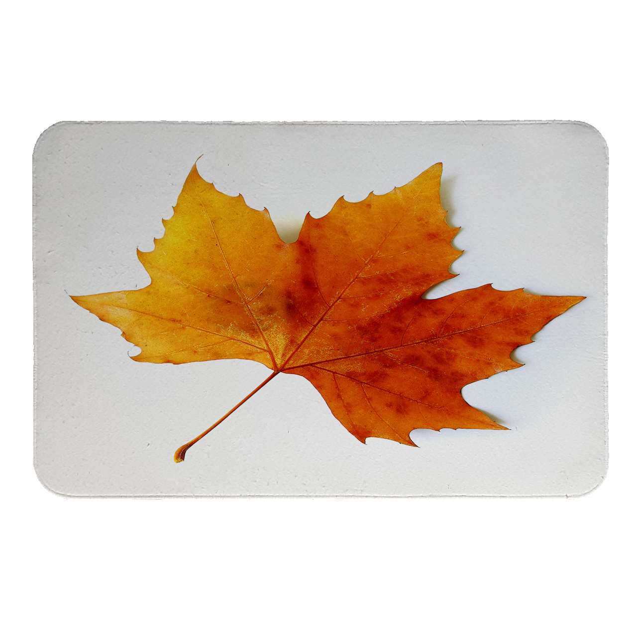 زیرقابلمه ای  طرح برگ کد 5512