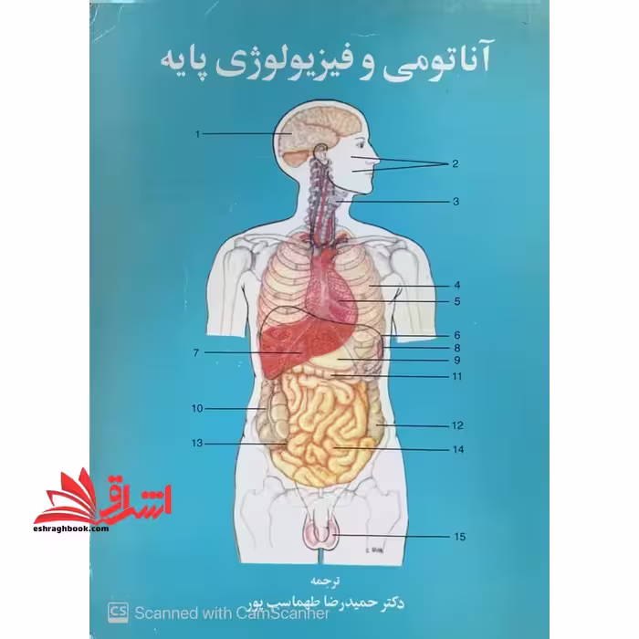 آناتومی و فیزیولوژی پایه جلد دوم - فروشگاه کتاب اشراق