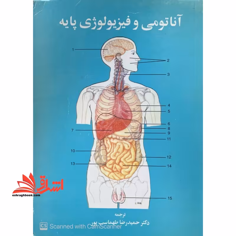 آناتومی و فیزیولوژی پایه جلد دوم - فروشگاه کتاب اشراق