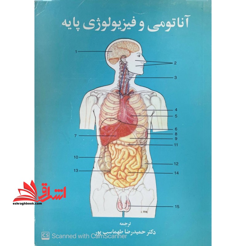 آناتومی و فیزیولوژی پایه جلد دوم - فروشگاه کتاب اشراق