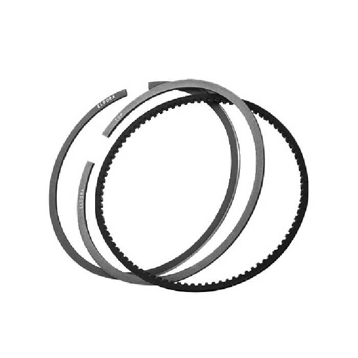 خرید رينگ موتور پژو 206 تيپ 2 برزیلی ماهله | اتوموبی