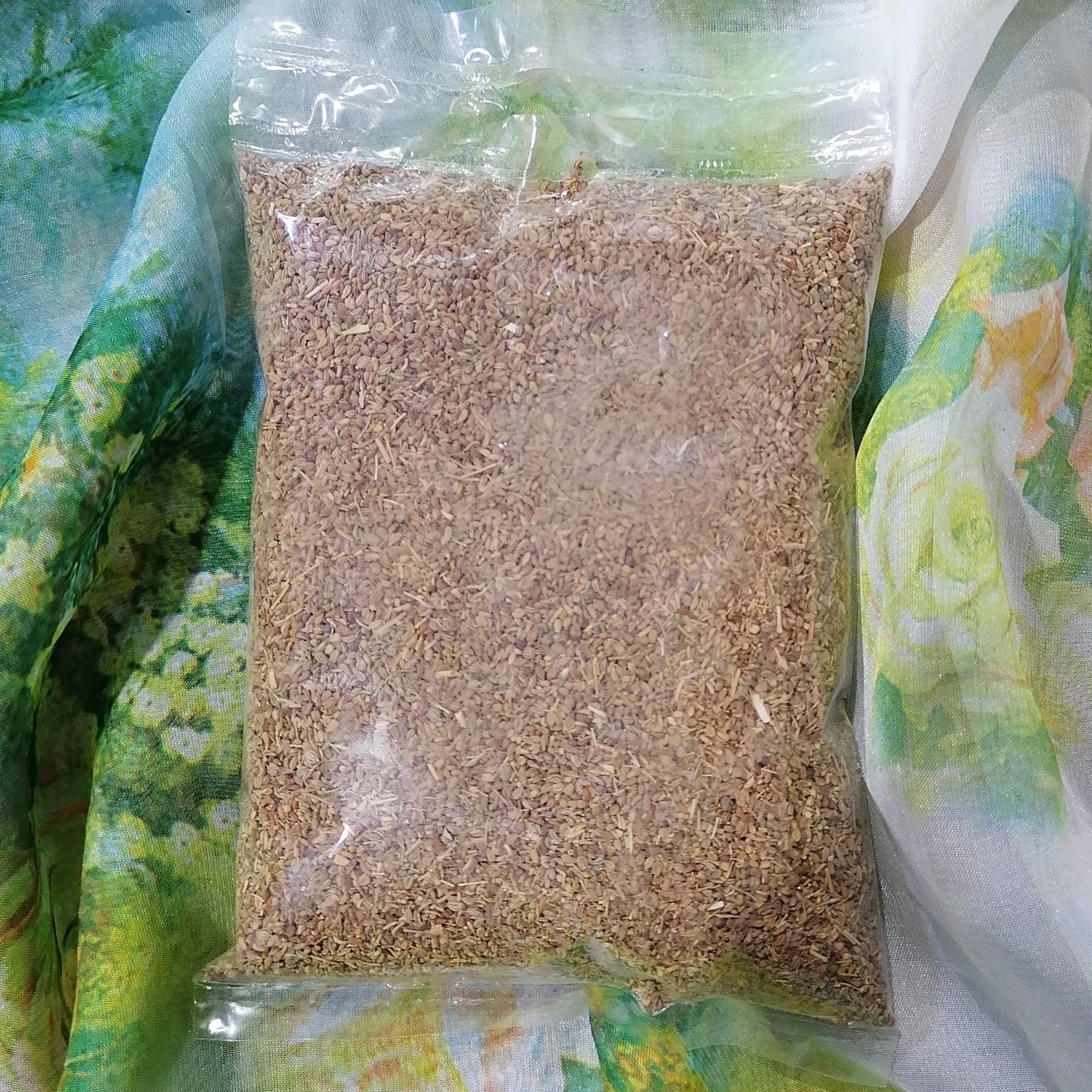 زنیان یا کسرک