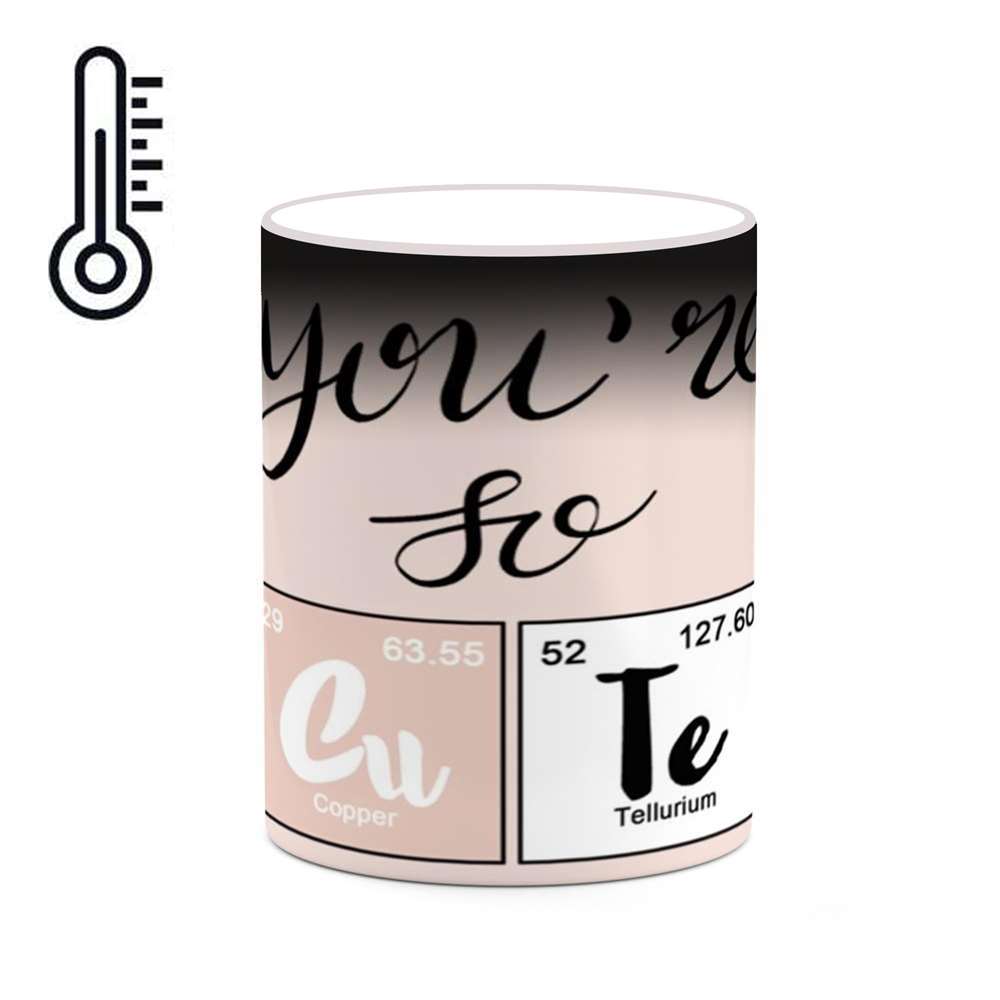 ماگ حرارتی کاکتی طرح شیمی و Chemistery مدل mgh23846