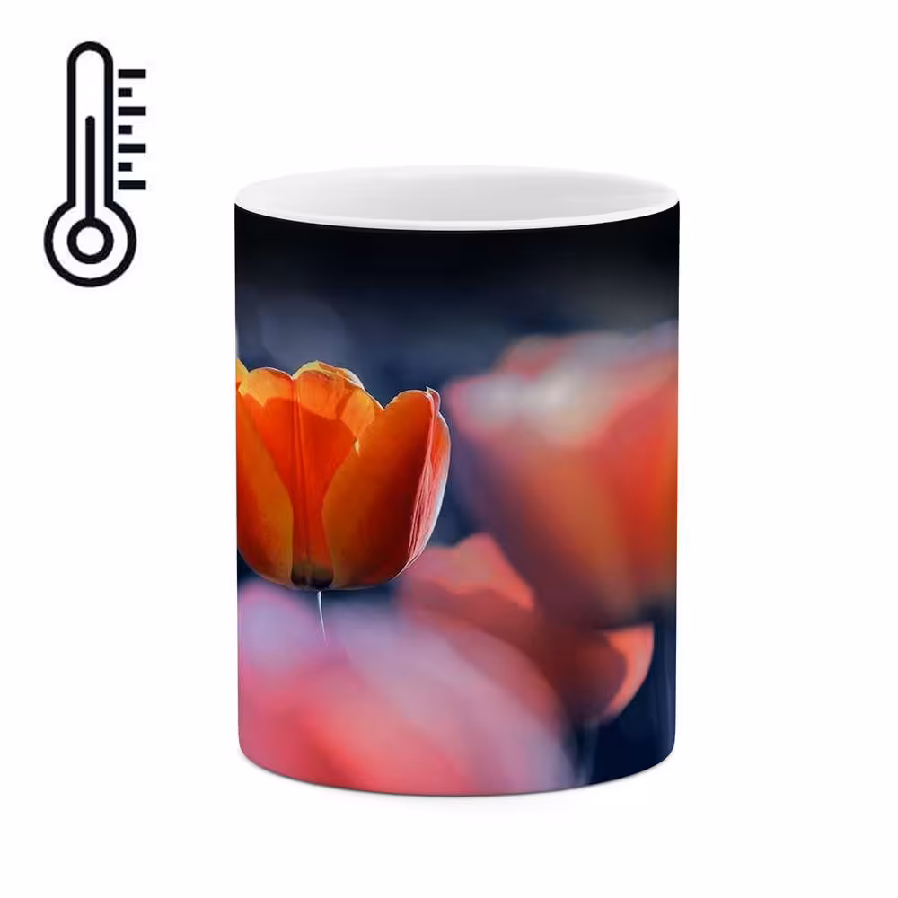 ماگ حرارتی کاکتی طرح گل مدل mgh16621