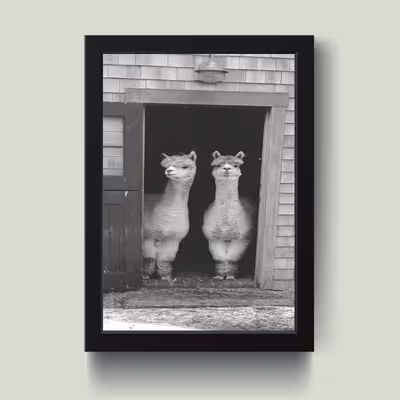 تابلو مدل مینیمال Lama کدS0103-b