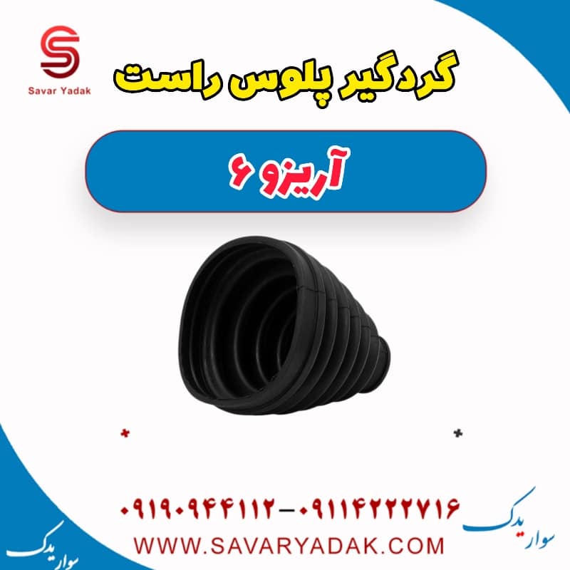 گردگیر پلوس راست آریزو 6