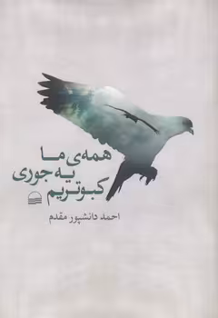 خرید کتاب همه ما یه جوری کبوتریم — کتابسرای طه