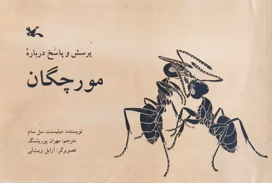 پرسش و پاسخ درباره مورچگان | ملیسنت سل سام