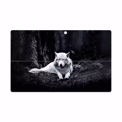 برچسب پوششی ماهوت مدل Dire Wolf مناسب برای تبلت مایکروسافت Surface Pro 2 2013