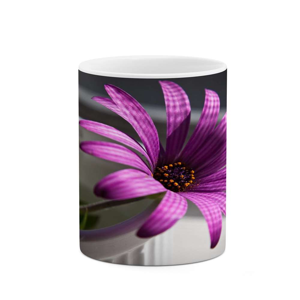 ماگ کاکتی طرح گل مدل mgs15907