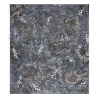 بک دراپ Backdrop کد B208