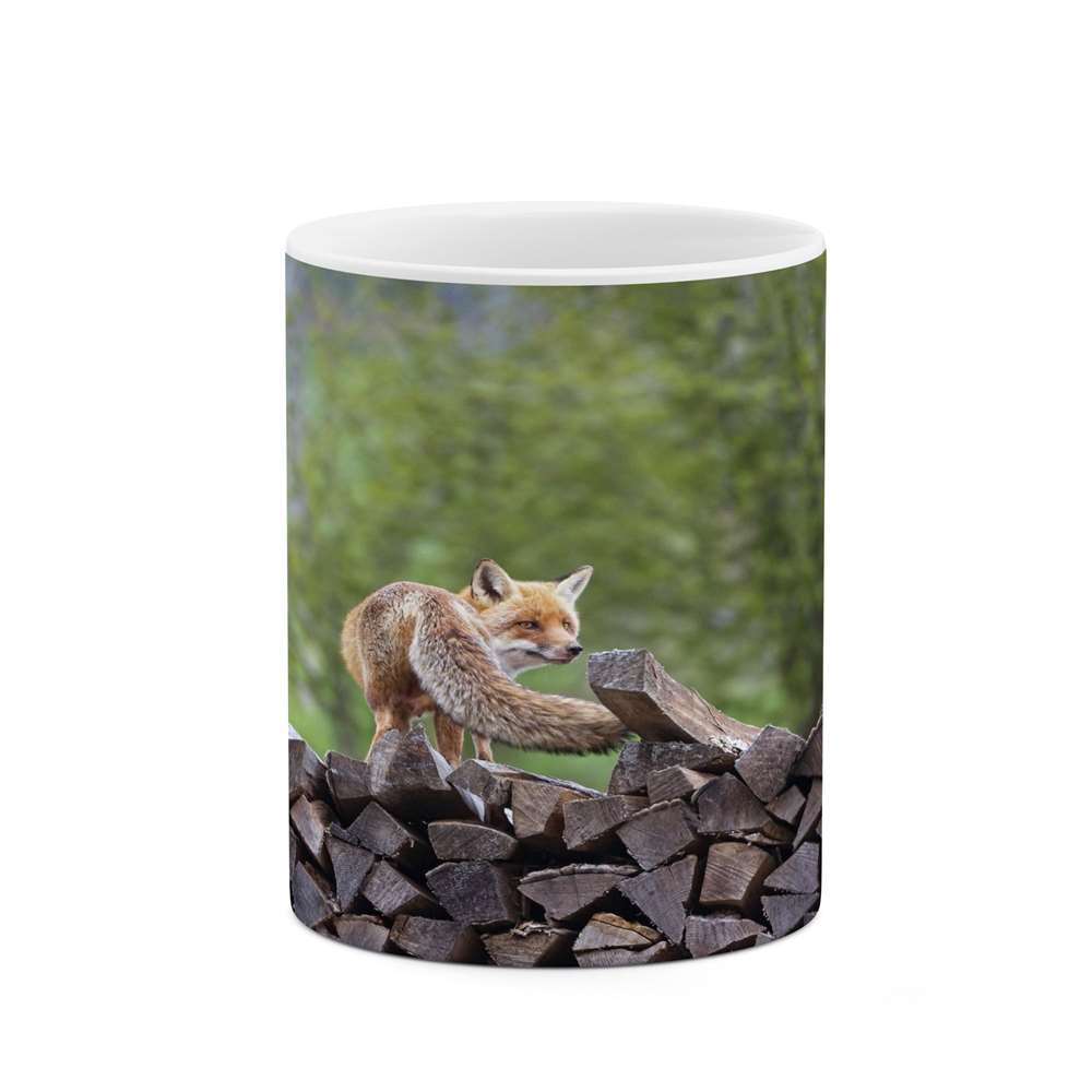 ماگ کاکتی طرح روباه مدل mgs14433