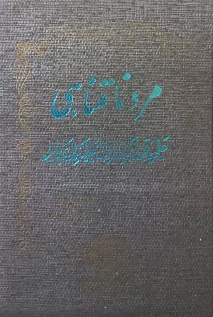 مرد نامتناهی | حسن صدر