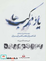 قیمت و خرید کتاب یاد مرکب ها اثر امیرمحمد قاسمی زاده | ایده بوک