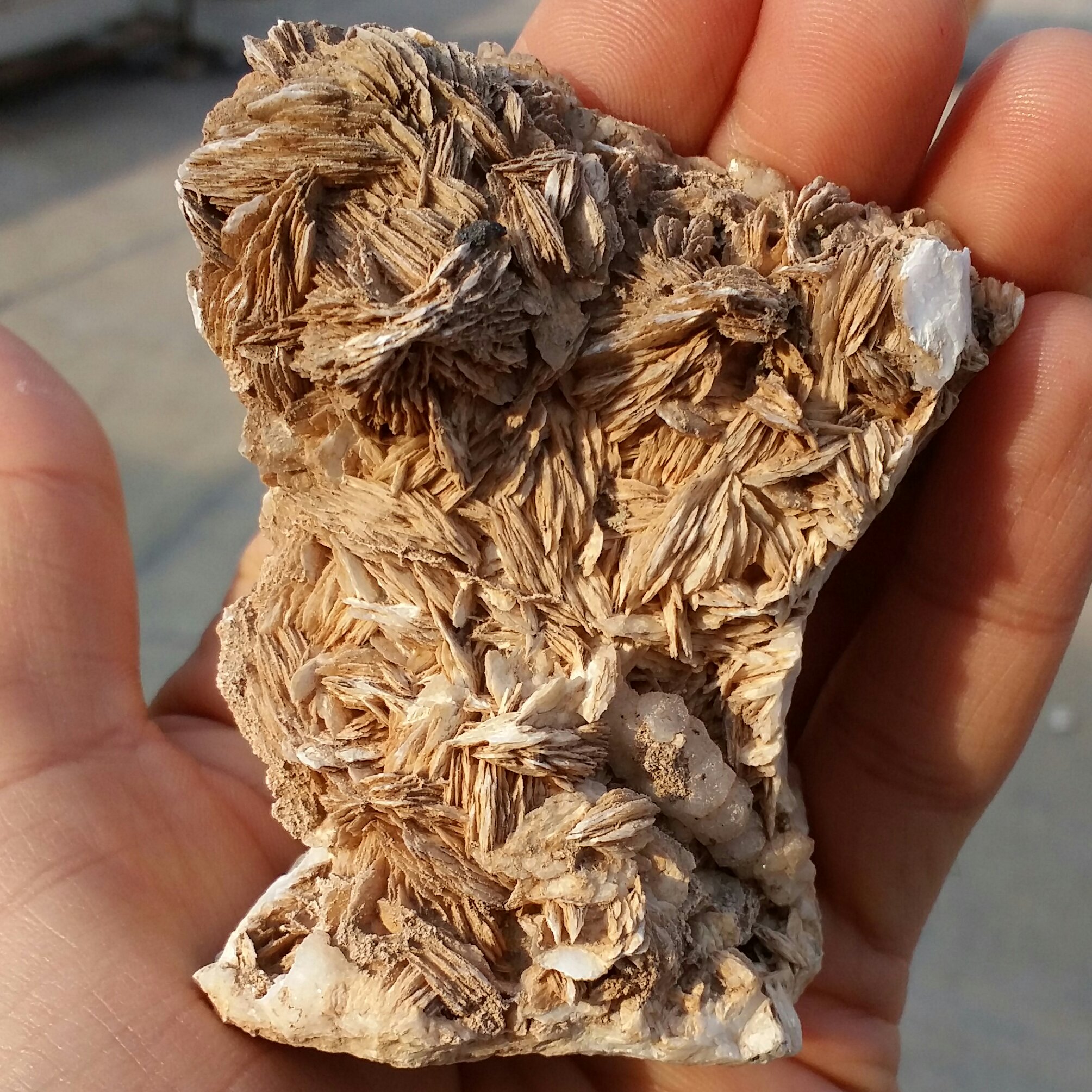 نمونه فوق کلکسیونی باریت غولپیکر بسیار زیبا 100 در 100 طبیعی شاهکار خلقت بی نظیر محشر و تک خارق العاده
دیدنییی