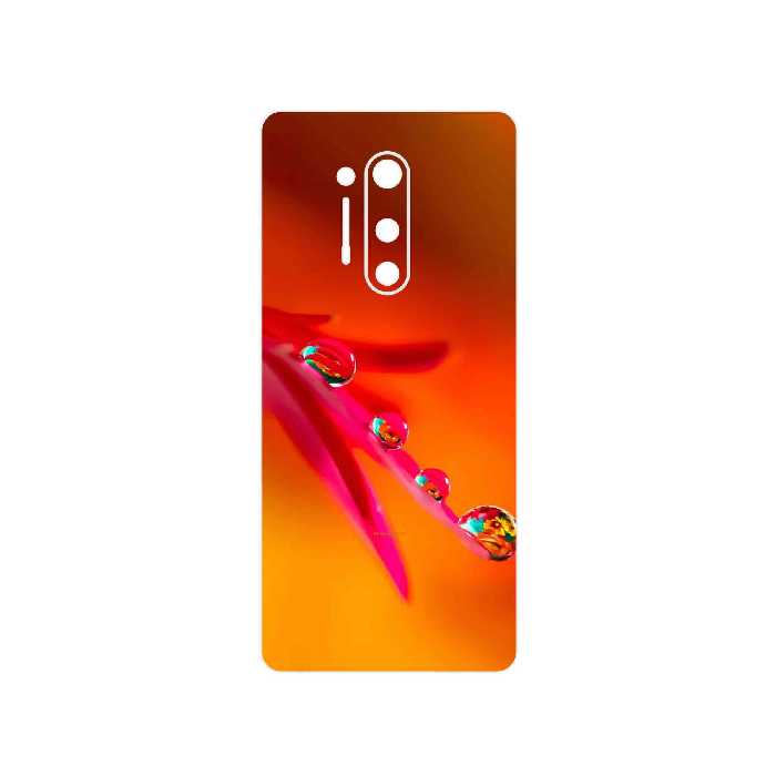 برچسب پوششی ماهوت مدل Plant dew مناسب برای گوشی موبایل وان پلاس 8 Pro