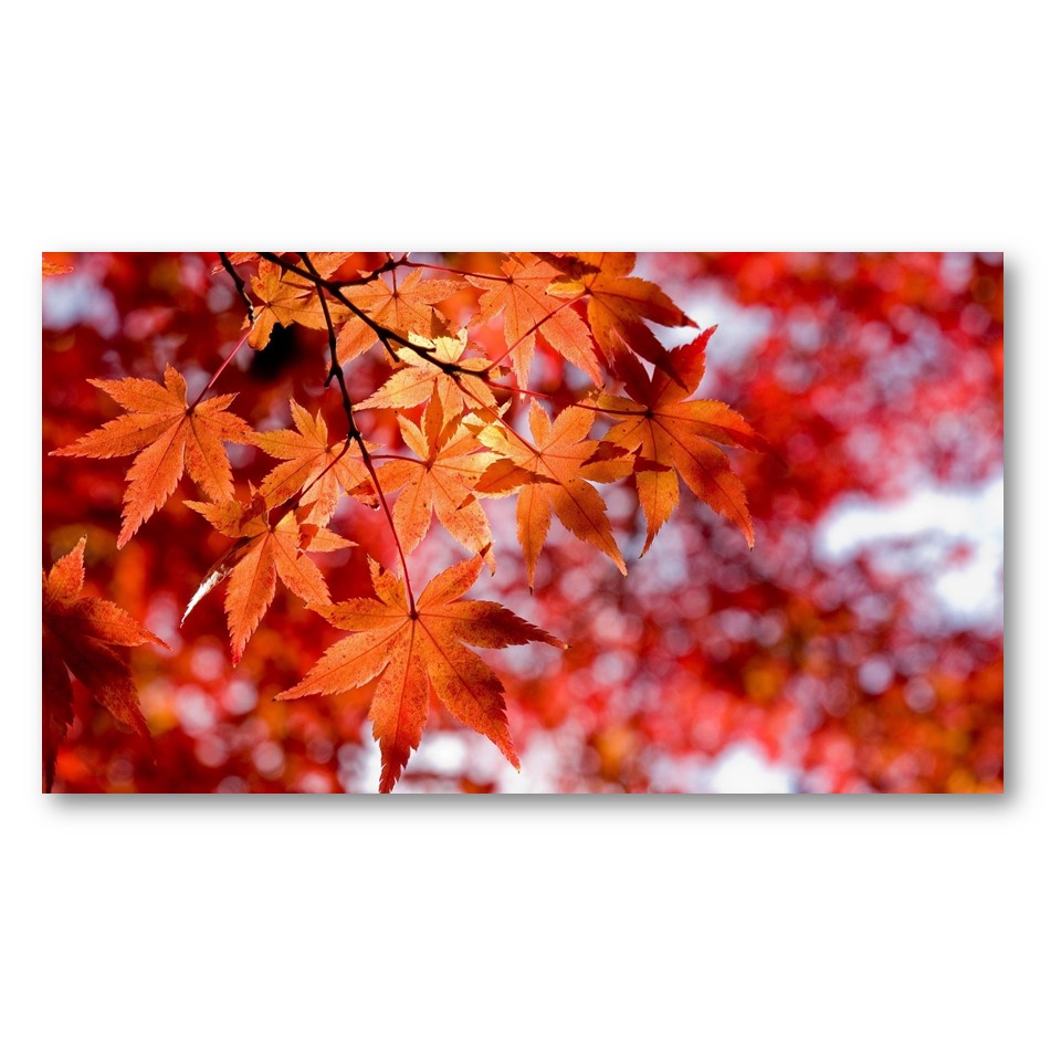 تابلو شاسی طرح گل کد 3