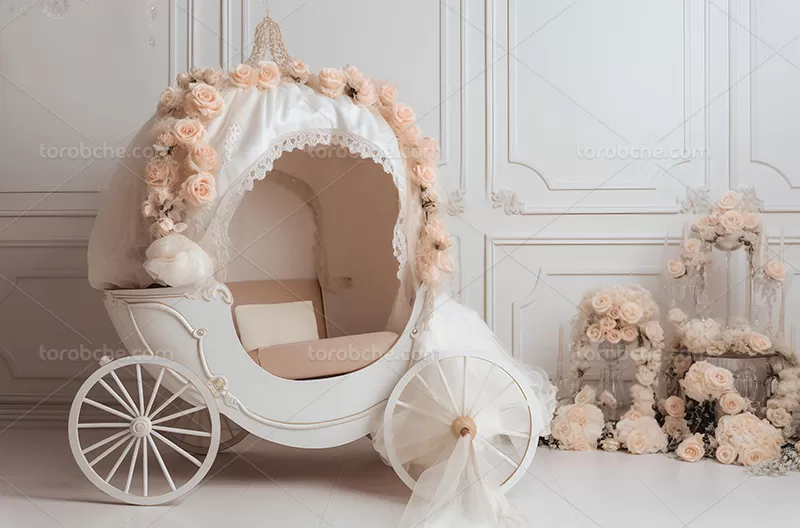 بک دراپ عکاسی با گل های زیبا | گرافیک با طعم تربچه