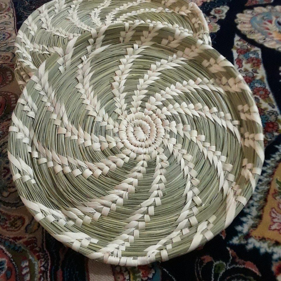 سینی گندمی