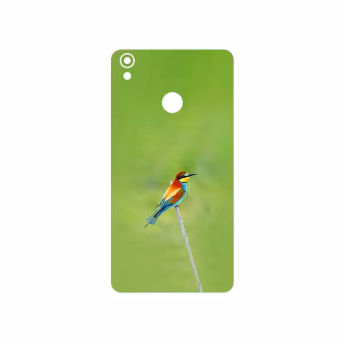 برچسب پوششی ماهوت مدل European bee-eater مناسب برای گوشی موبایل تکنو Camon CX Air