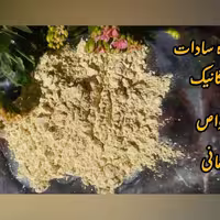 نوره زرنیخ طلایی 1 به 6 سادات یک کیلویی