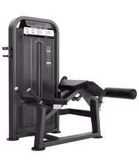دستگاه پشت ران خوابیده DHZ مدل U3001D-K