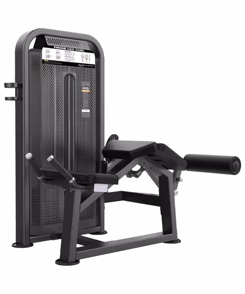 دستگاه پشت ران خوابیده DHZ مدل U3001D-K