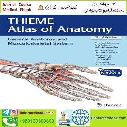 General Anatomy and Musculoskeletal