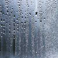 خرید و دانلود عکس ShutterStock-2014-Backgrounds &amp; Textures کد 53575 | پیک فاکس | Pic Fox