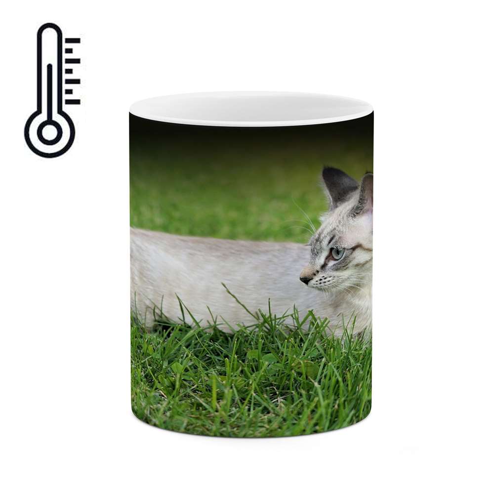 ماگ کاکتی طرح گربه مدل mgh17434