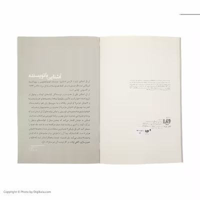 کتاب در دل‌ تاریکی اثر آر ال استالین نشر ویدا