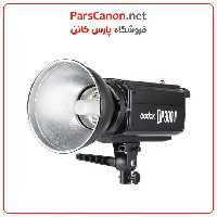 فلاش گودکس Godox DP300II Flash Head